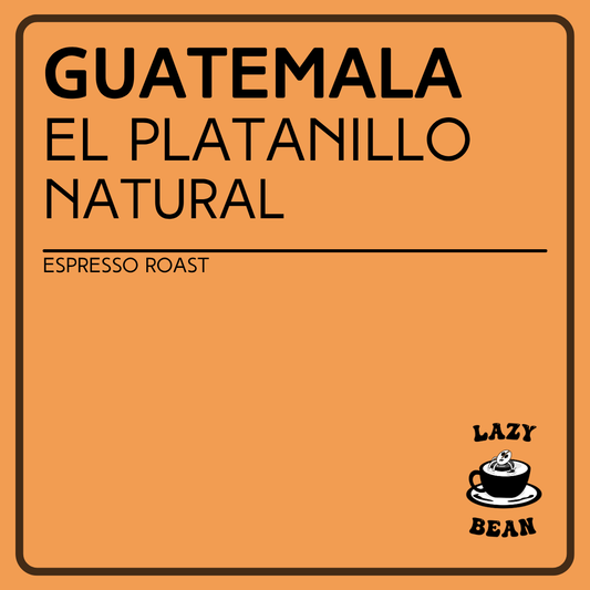 Guatemala Finca El Platanillo Natural Geisha